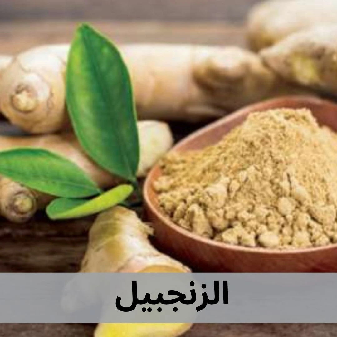 الزنجبيل