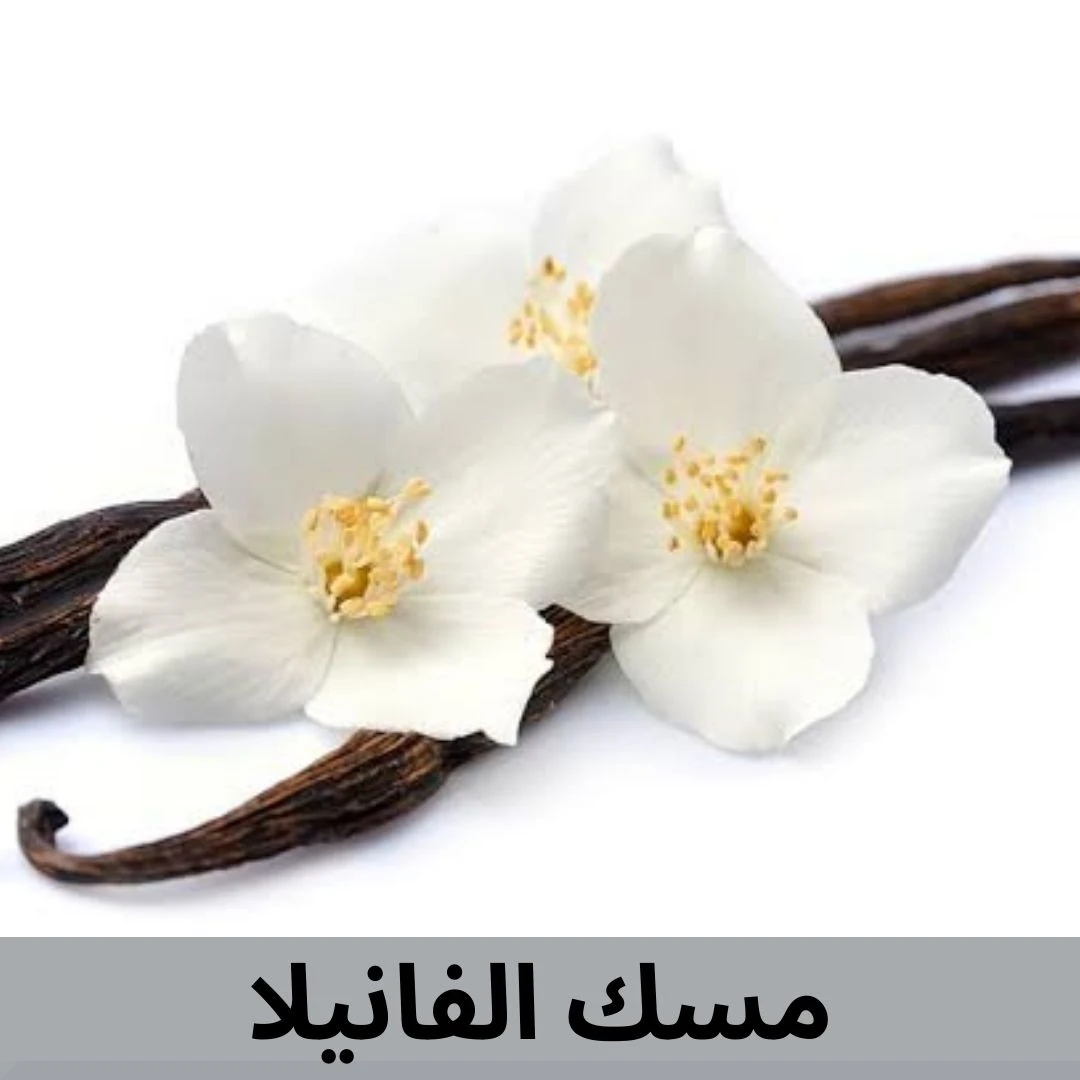 مسك الفانيلا